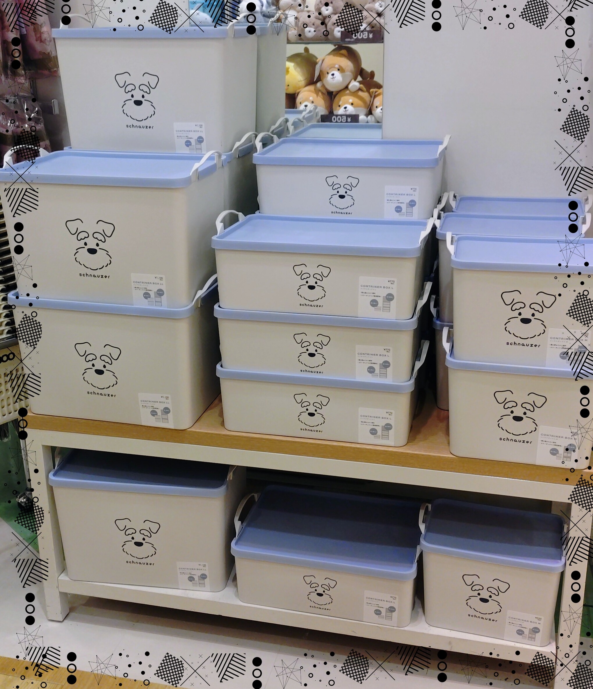 シュナウザー新商品‼入荷しました｜ショップニュース｜イオンタウン津城山