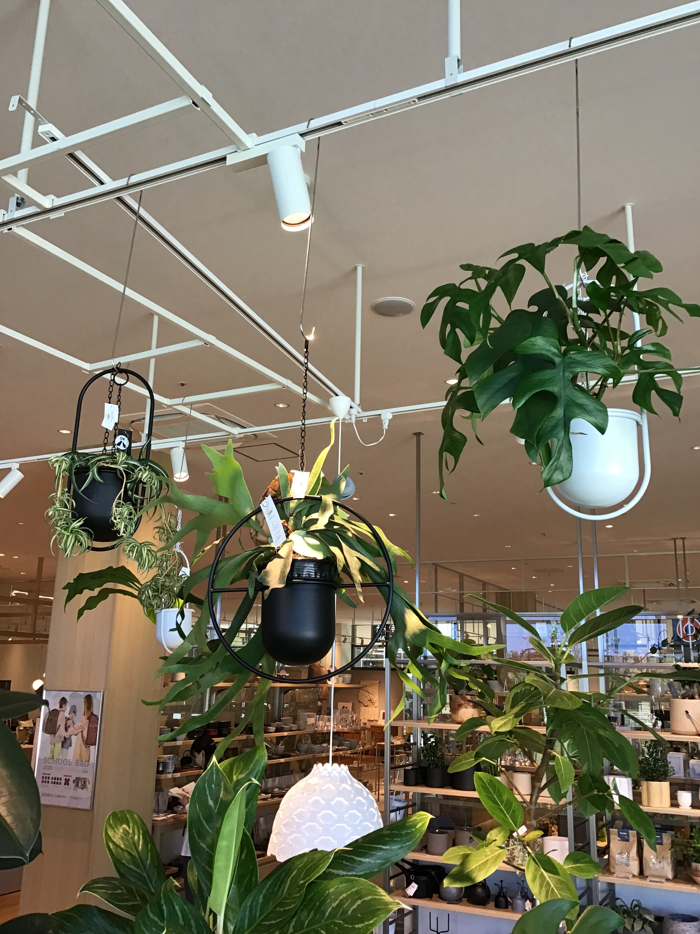 ★Seavalley Mountain Club グリーン.完売品★ ☆Seavalley Mountain Club グリーン.完売品 Seavalley Mountain