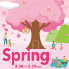 【千種】スプリング