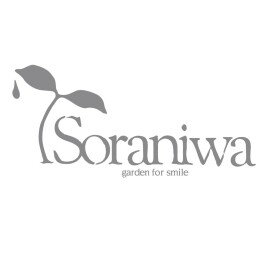 Soraniwa 