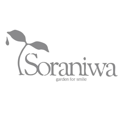 Soraniwa 