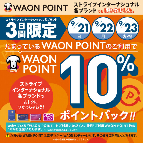 【本部】ストライプWPポイントバック