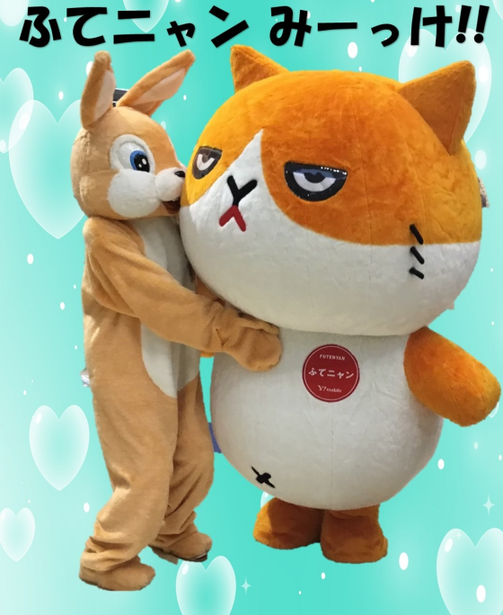 ふてニャンと一緒