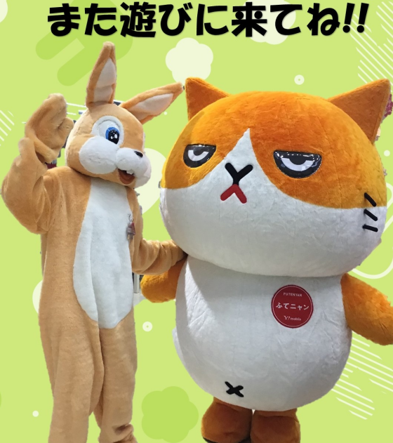 ふてニャンと一緒