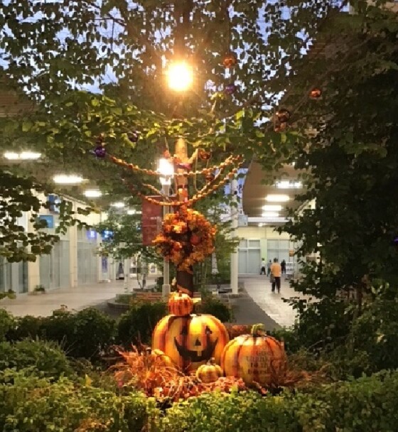 Halloweenフォトスポットが登場!