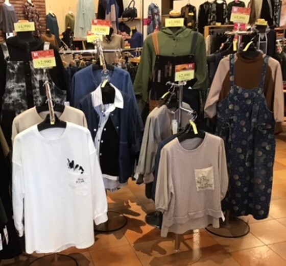 Autumnコレクション入荷中