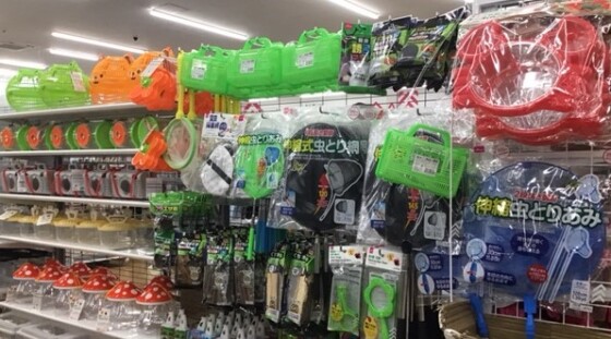 こどもの日・ゴールデンウイーク