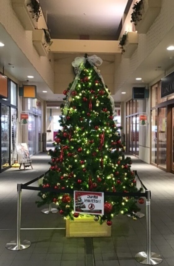 Xmasツリー＆イルミネーションんが今年も登場！！
