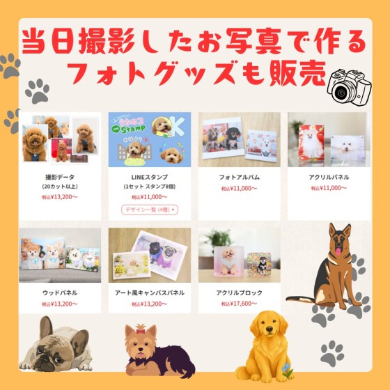 【ワンちゃん限定🐾】ポスターモデルオーディション撮影会