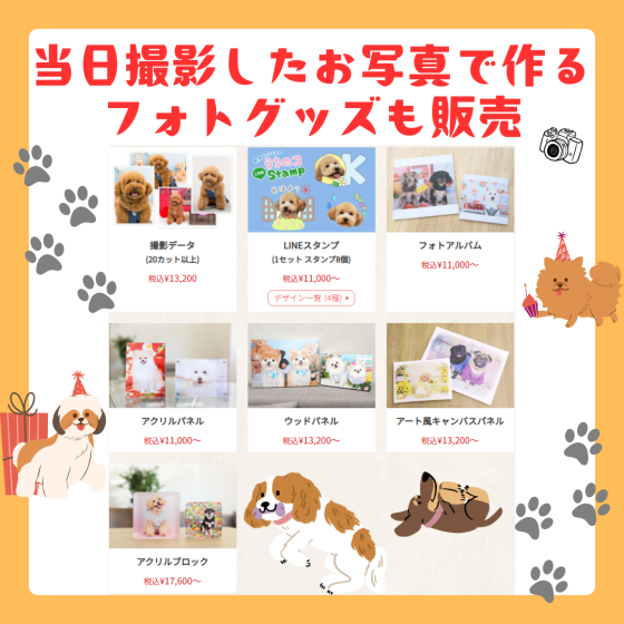 【ワンちゃん限定🐾】ポスターモデルオーディション撮影会