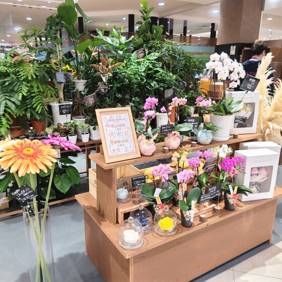 9月15日(火)「結いはな」グランドオープン🎊
