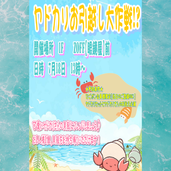 ヤドカリお引越し大作戦！？