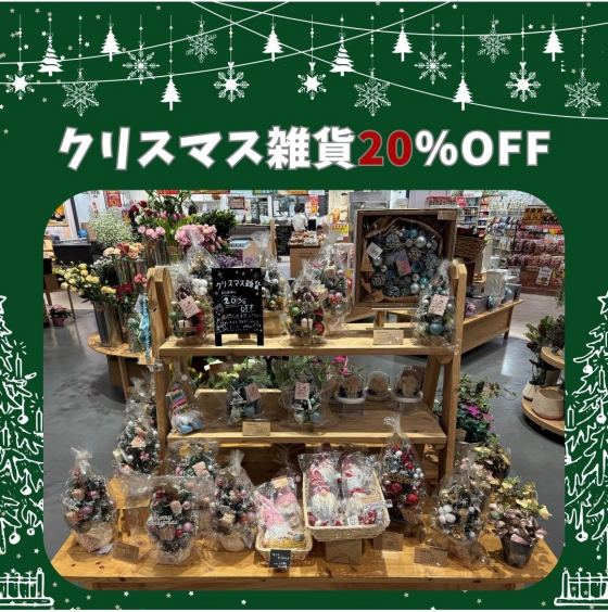 クリスマス雑貨20％OFF🎄