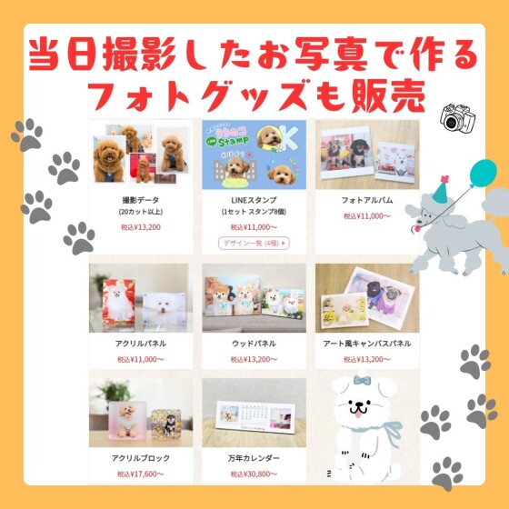 【ワンちゃん限定🐾】ポスターモデルオーディション撮影会