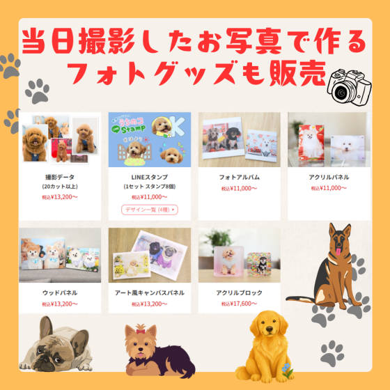【ワンちゃん限定🐾】ポスターモデルオーディション撮影会