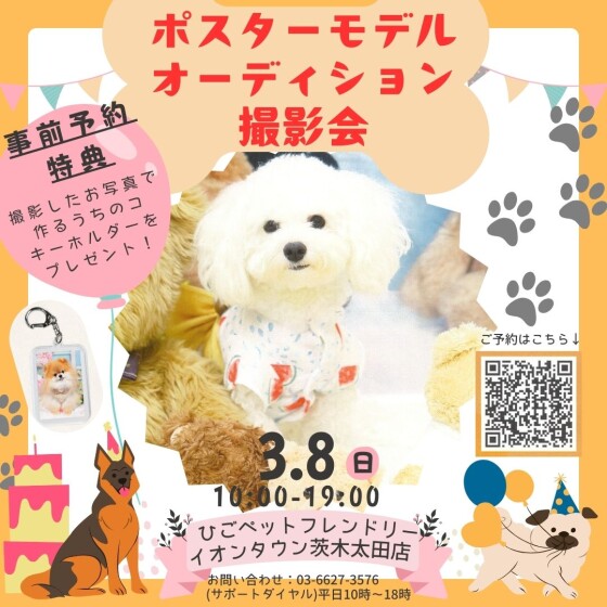 【ワンちゃん限定🐾】ポスターモデルオーディション撮影会