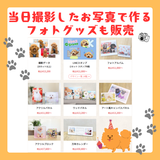 【ワンちゃん限定🐾】ポスターモデルオーディション撮影会
