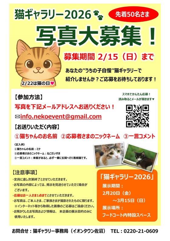 猫ギャラリー2026写真大募集！｜イベント｜イオンタウン佐沼