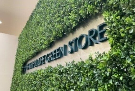 ikka THE BEAUTIFUL LIFE GREEN STORE