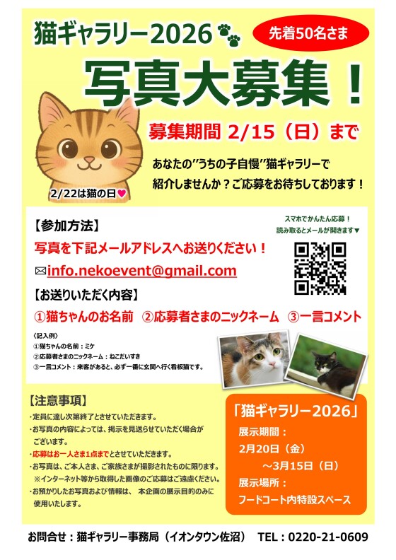 猫ギャラリー2026写真大募集！