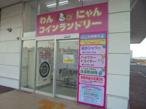 ペリ乾ランド
