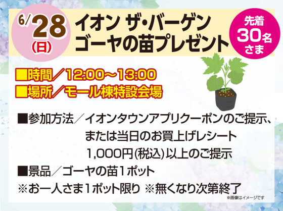 6/28　イオン ザ・バーゲン🍁ゴーヤの苗プレゼント