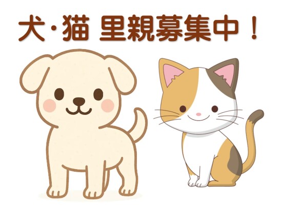 LIFEの会　犬・猫　里親募集中！