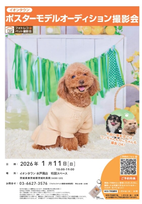 ポスターモデルモデルオーディション撮影会
