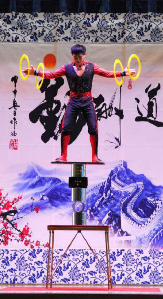 中国雑技ショー