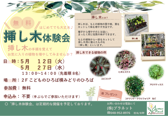 挿し木体験会開催