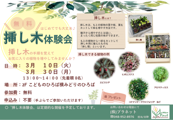 挿し木体験会開催