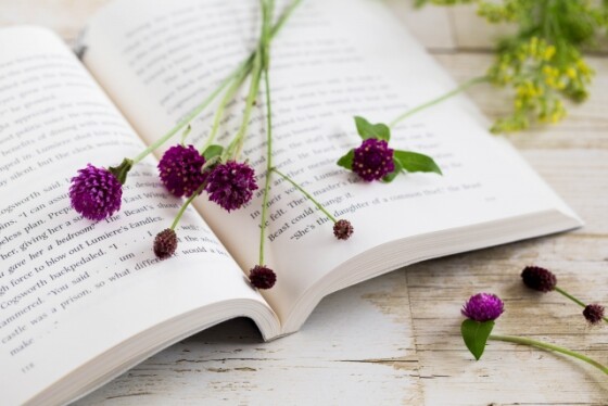 本活応援企画　あなたの推し本紹介・読書会