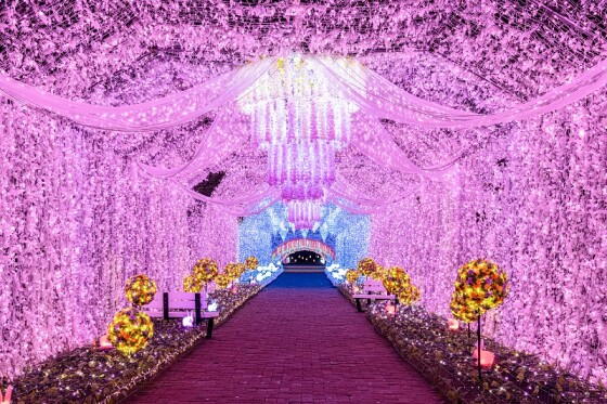 御殿場市からリモート中継　富士山と食とイルミネーション