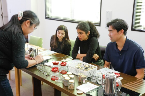 心身を癒やす魅力の茶葉を学ぶ　香りを楽しむハーブティー講座