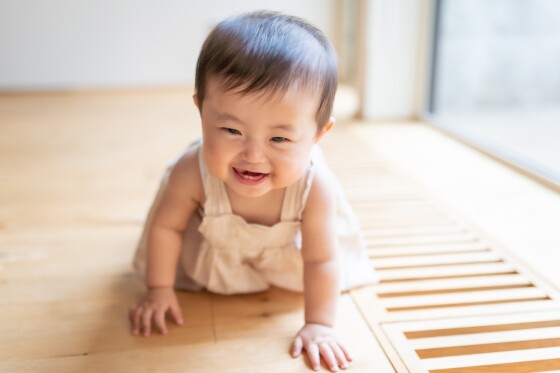 お子様と一緒に楽しもう　赤ちゃんハイハイレース