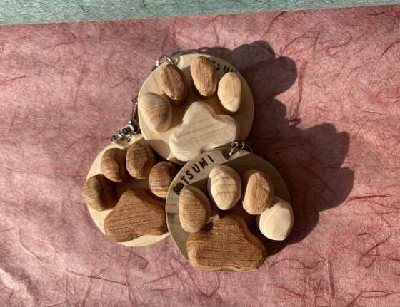 旅は人まかせ【愛知県・高知県】いしづちエリア