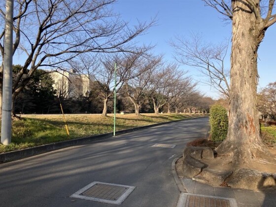 地元ふじみ野の魅力を再発掘！　新河岸川沿いの歴史と見所案内