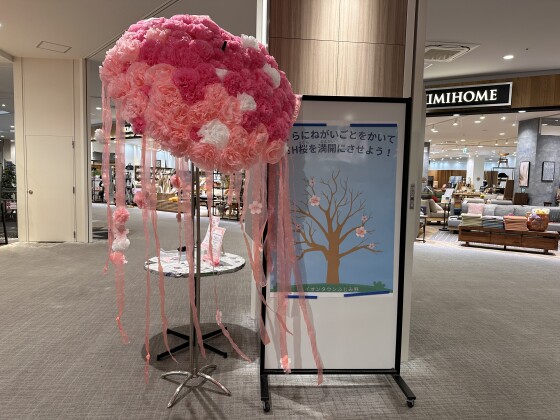 桜に願いをかこう！