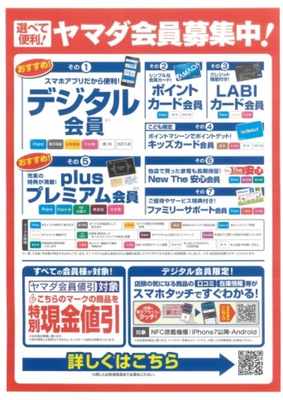 ヤマダデンキ
