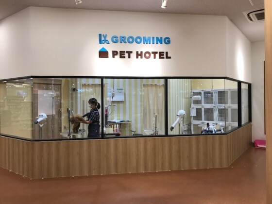 ペット専門店ペテモ グルーミングサロン