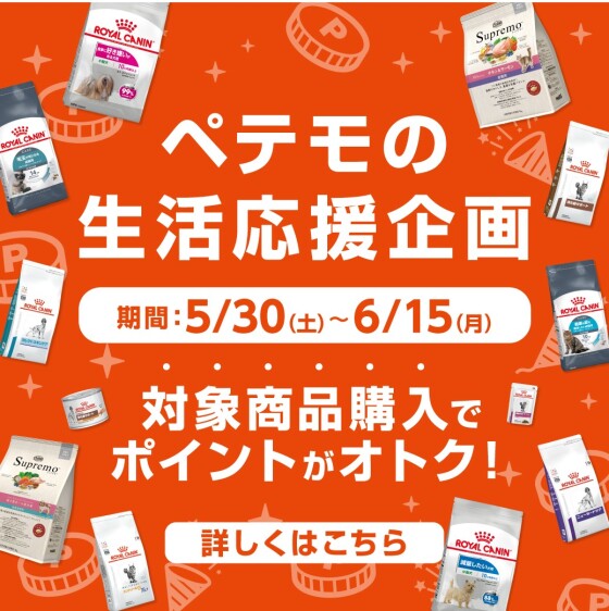 ペテモの生活応援企画
