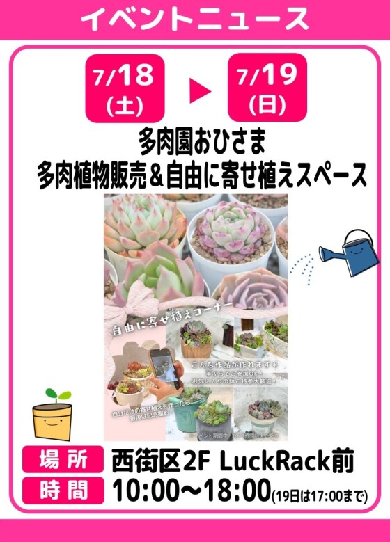 多肉園おひさま《多肉植物販売＆自由に寄せ植えスペース》