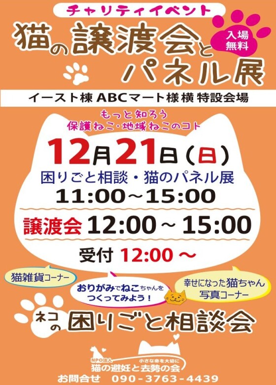 12/21(日) 猫の譲渡会とパネル展