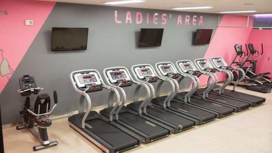 FIT365