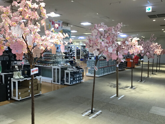 新入学🌸桜の木メッセージ展