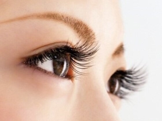 Antia eyelash club