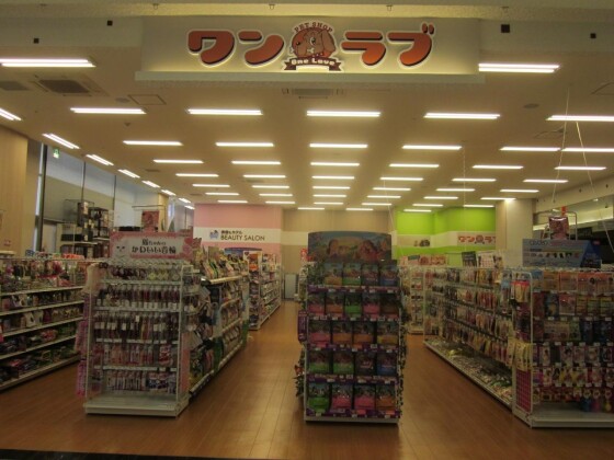 ワンラブ