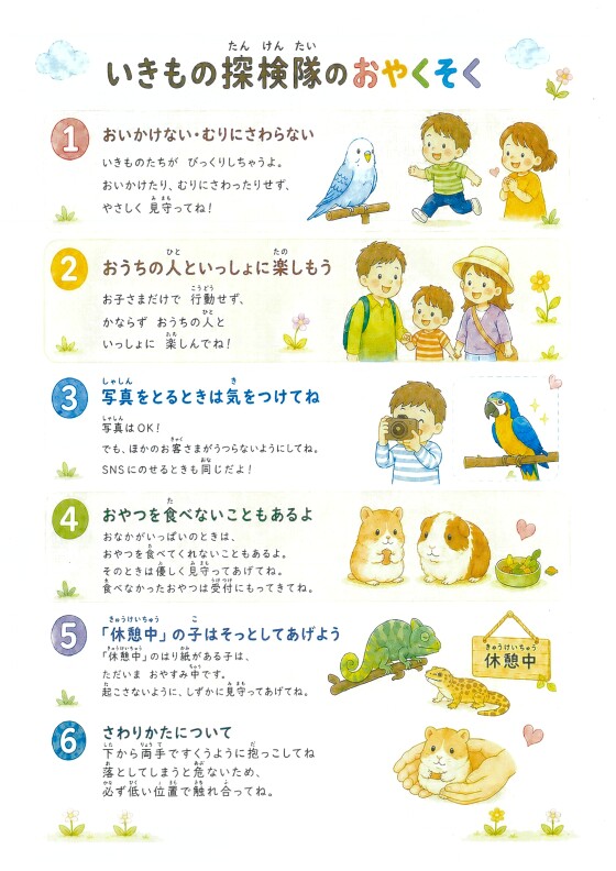 いきもの探検隊