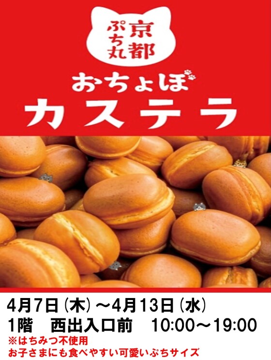 京都ぷち丸　おちょぼカステラ