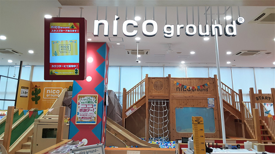 nicoground®